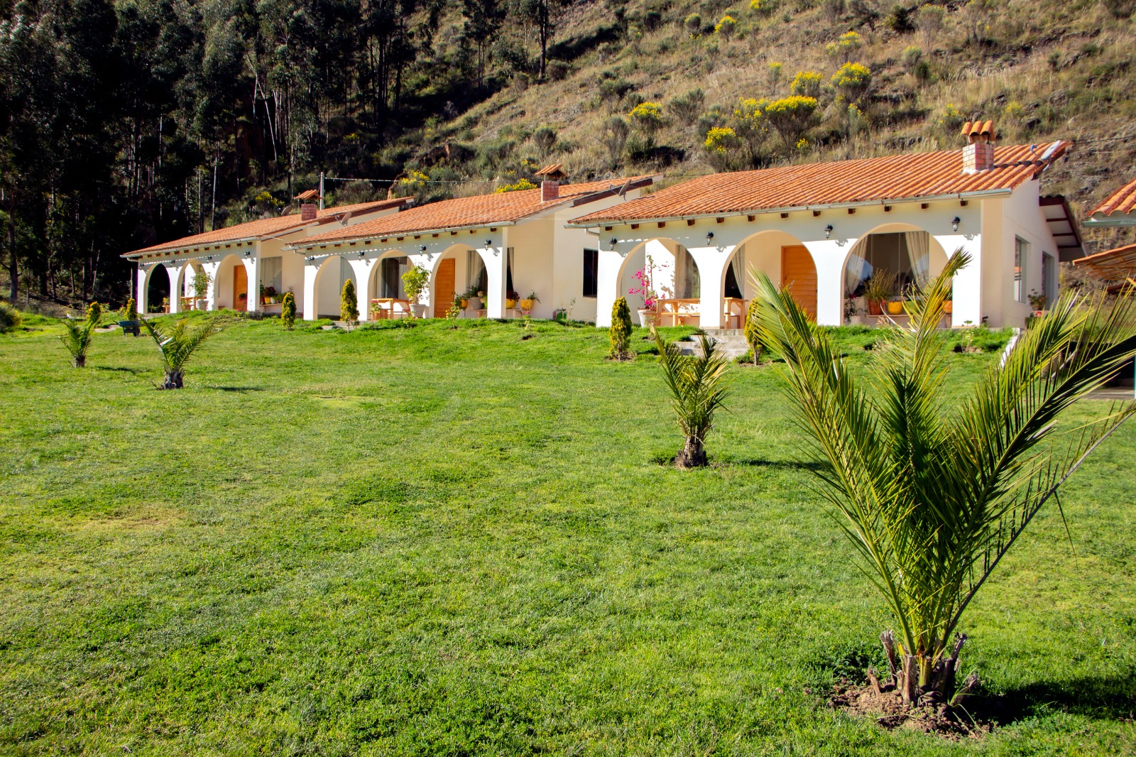 fundo-alma-andina-jauja-huancayo (100)