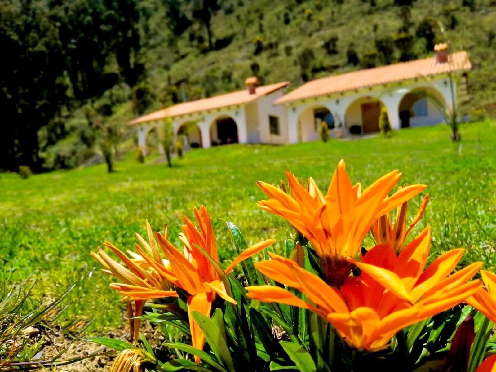 fundo-alma-andina-jauja-huancayo (107)