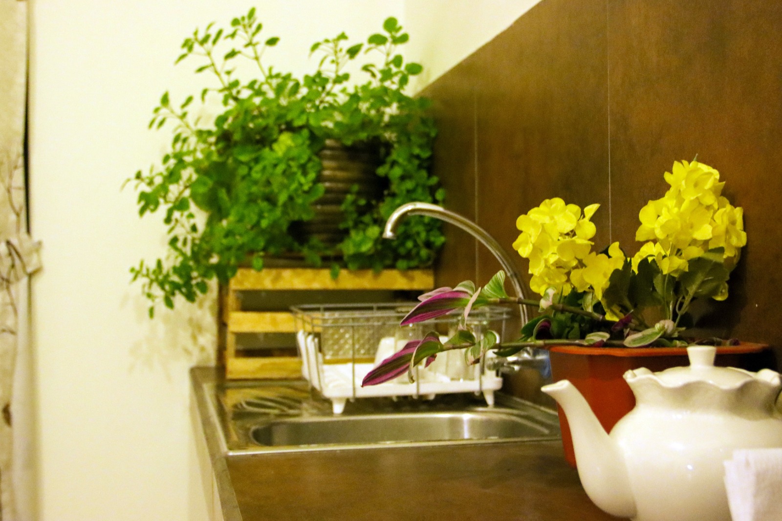 fundo-alma-andina-jauja-huancayo (119)