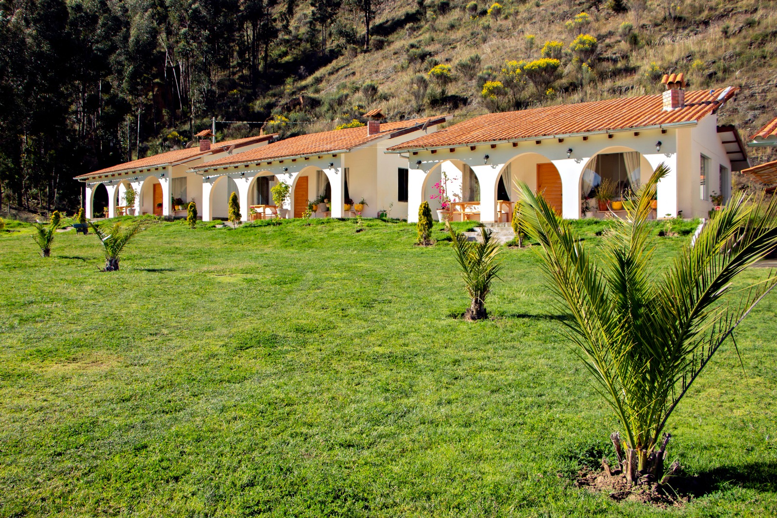 fundo-alma-andina-jauja-huancayo (67)