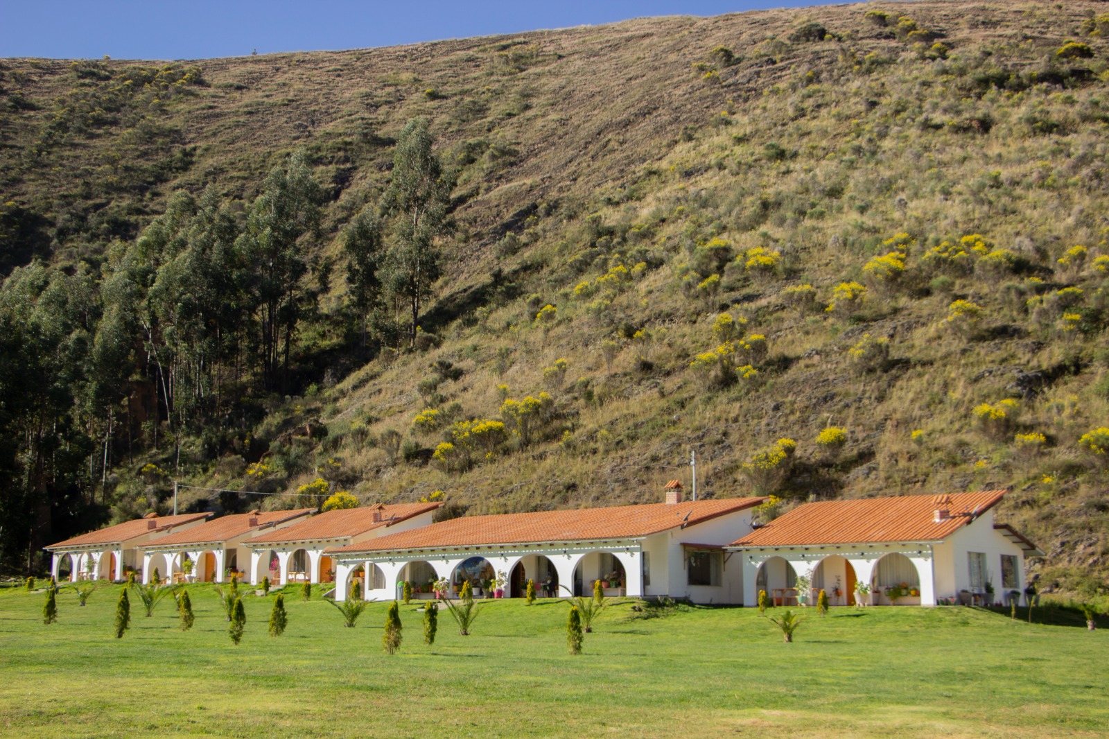 fundo-alma-andina-jauja-huancayo (92)