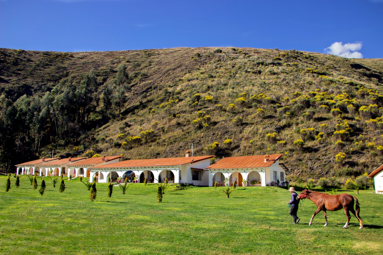 fundo-alma-andina-jauja-huancayo (93)