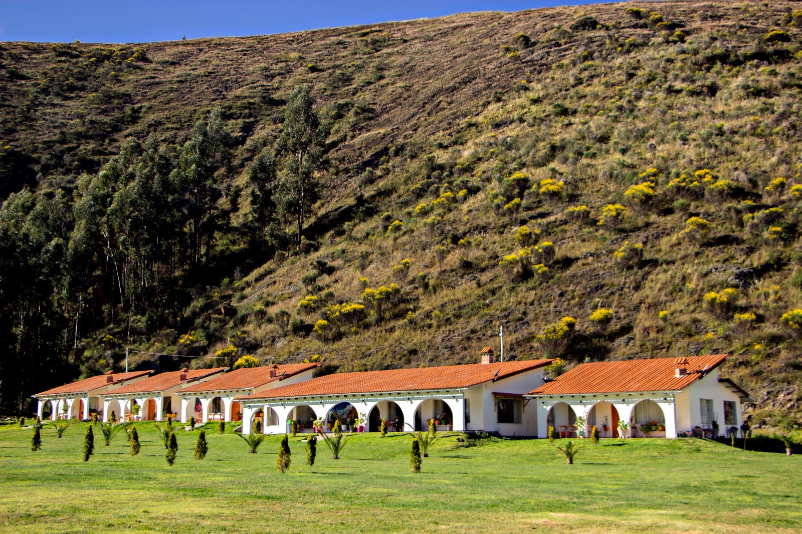 fundo-alma-andina-jauja-huancayo (99)
